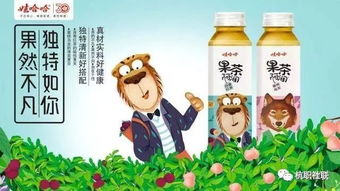 娃哈哈品牌年輕化與市場(chǎng)滲透——營(yíng)銷策劃與廣告創(chuàng)意大賽方案